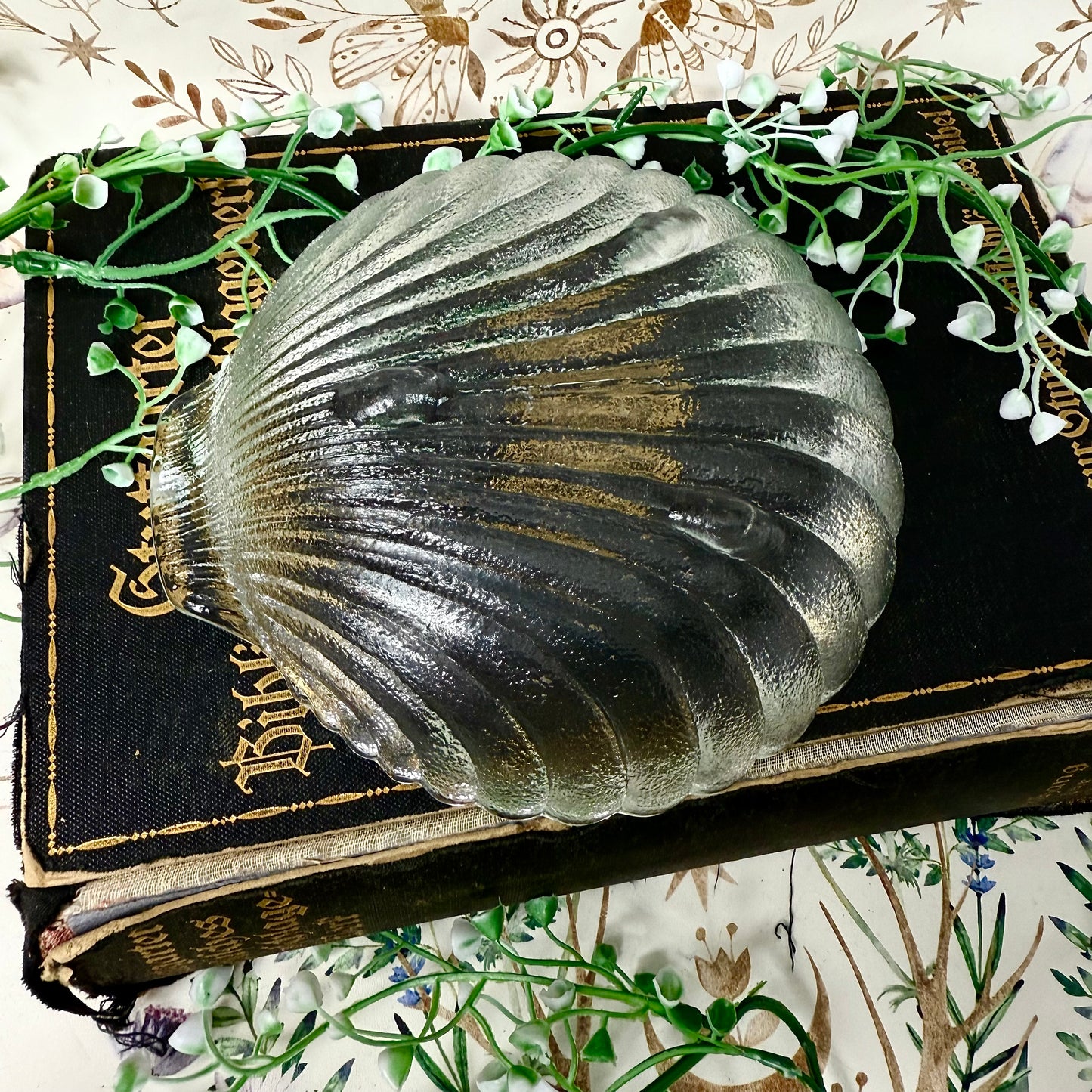 Muschelschale Glas