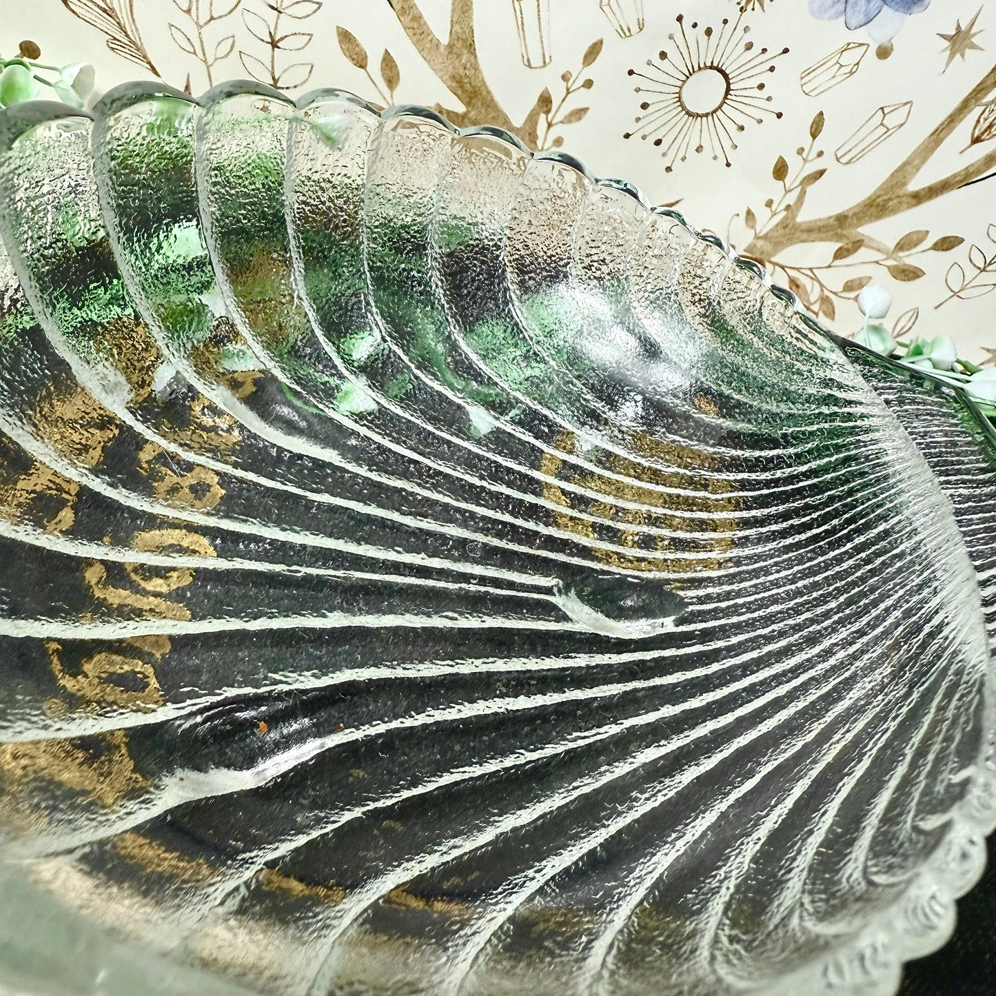 Muschelschale Glas