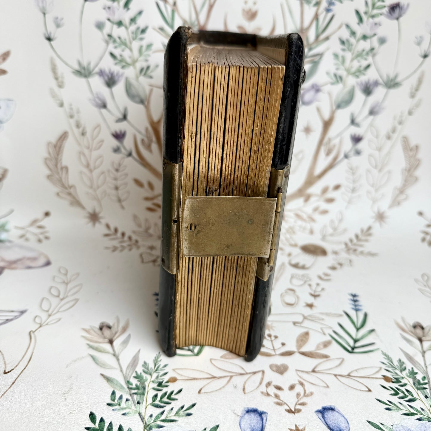 Jugendstil Fotoalbum Gothic