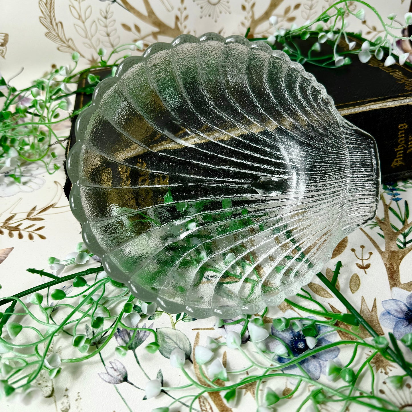 Muschelschale Glas