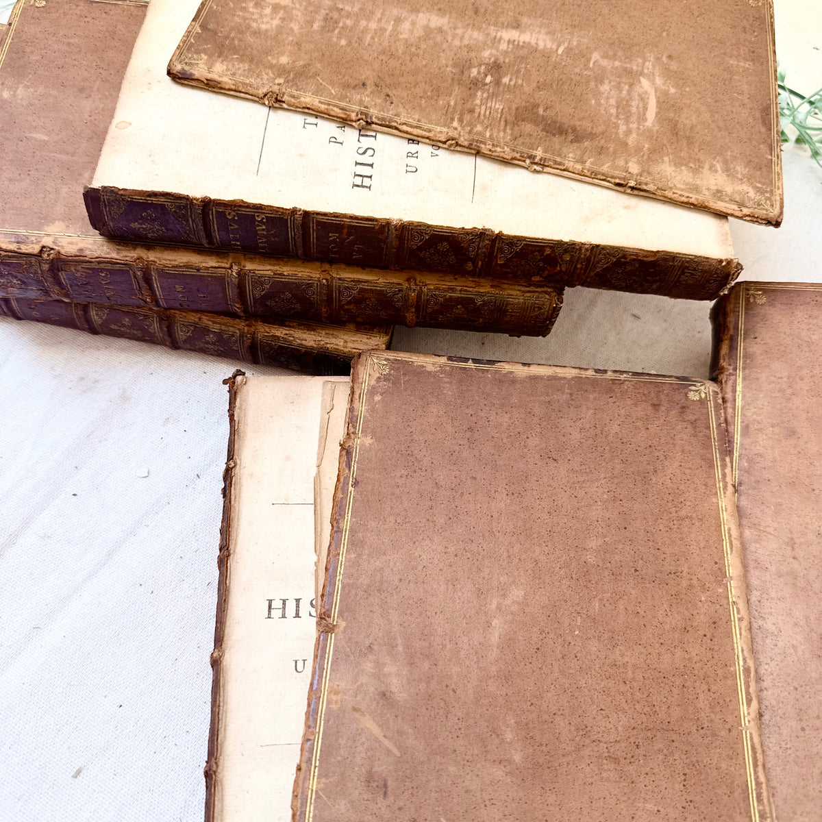 Bücher 1708
