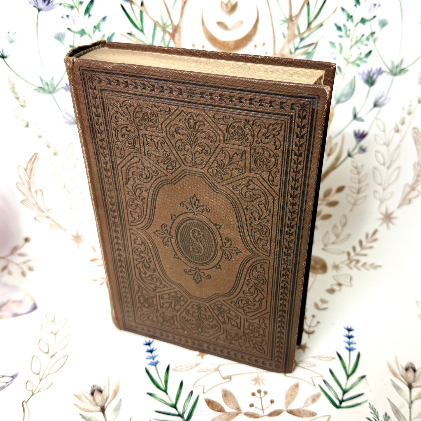 Shakespeares Königsdramen Buch