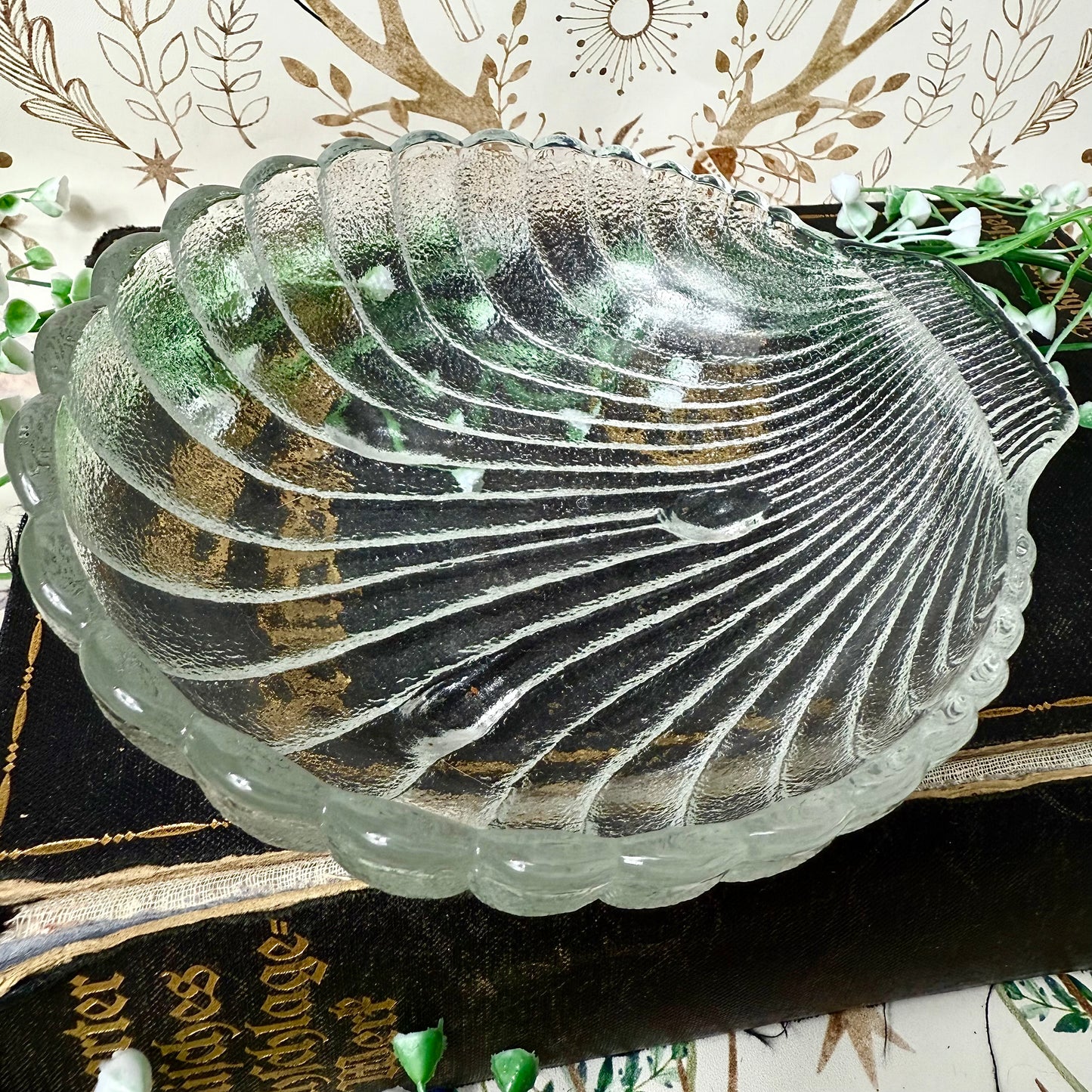 Muschelschale Glas