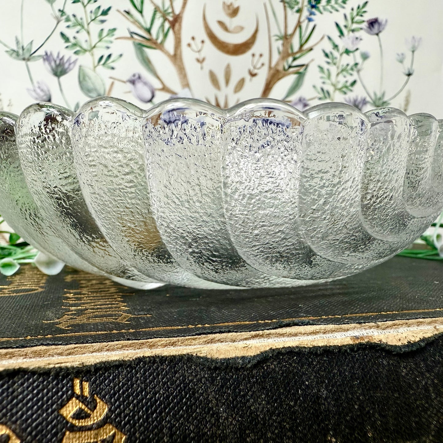 Muschelschale Glas