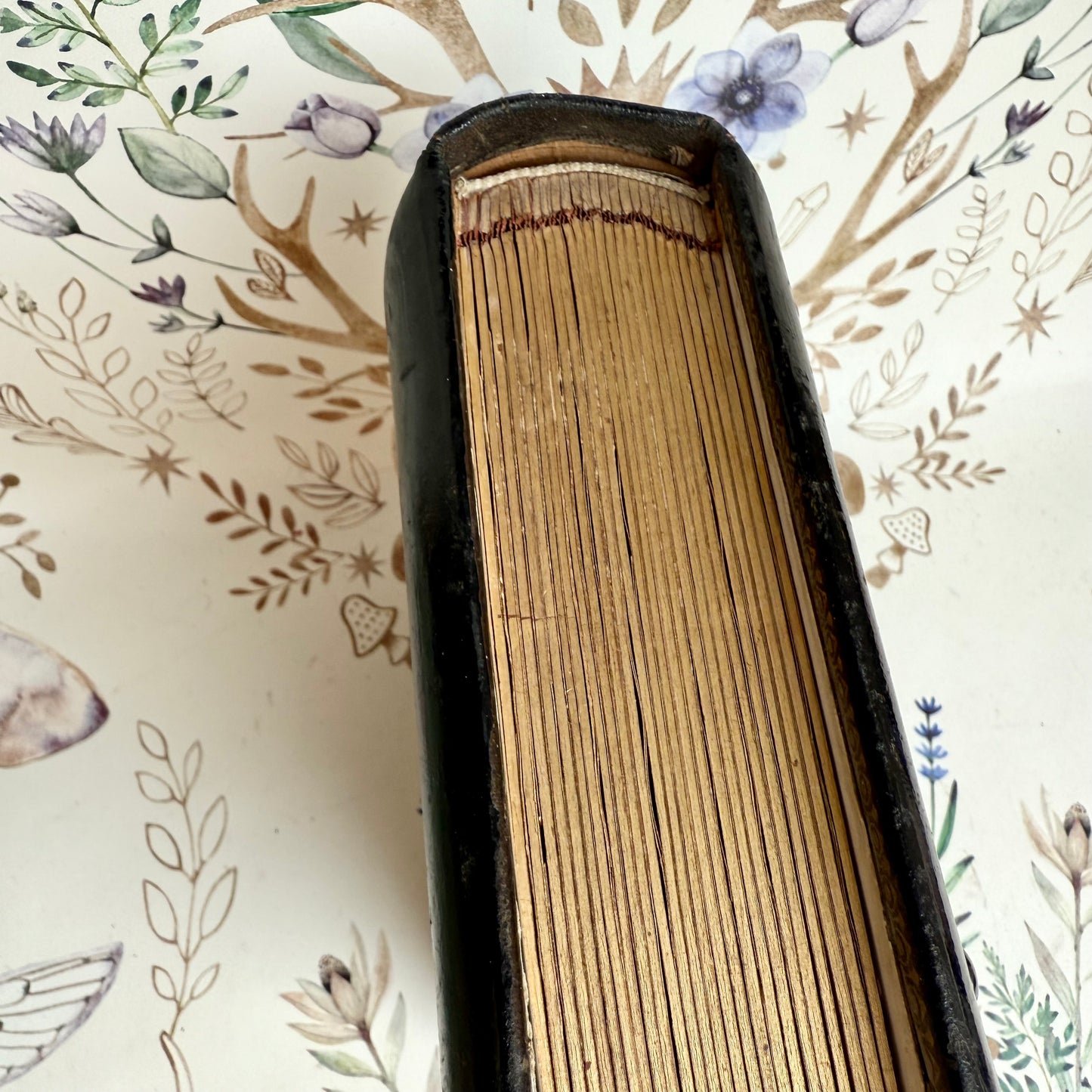 Jugendstil Fotoalbum Gothic