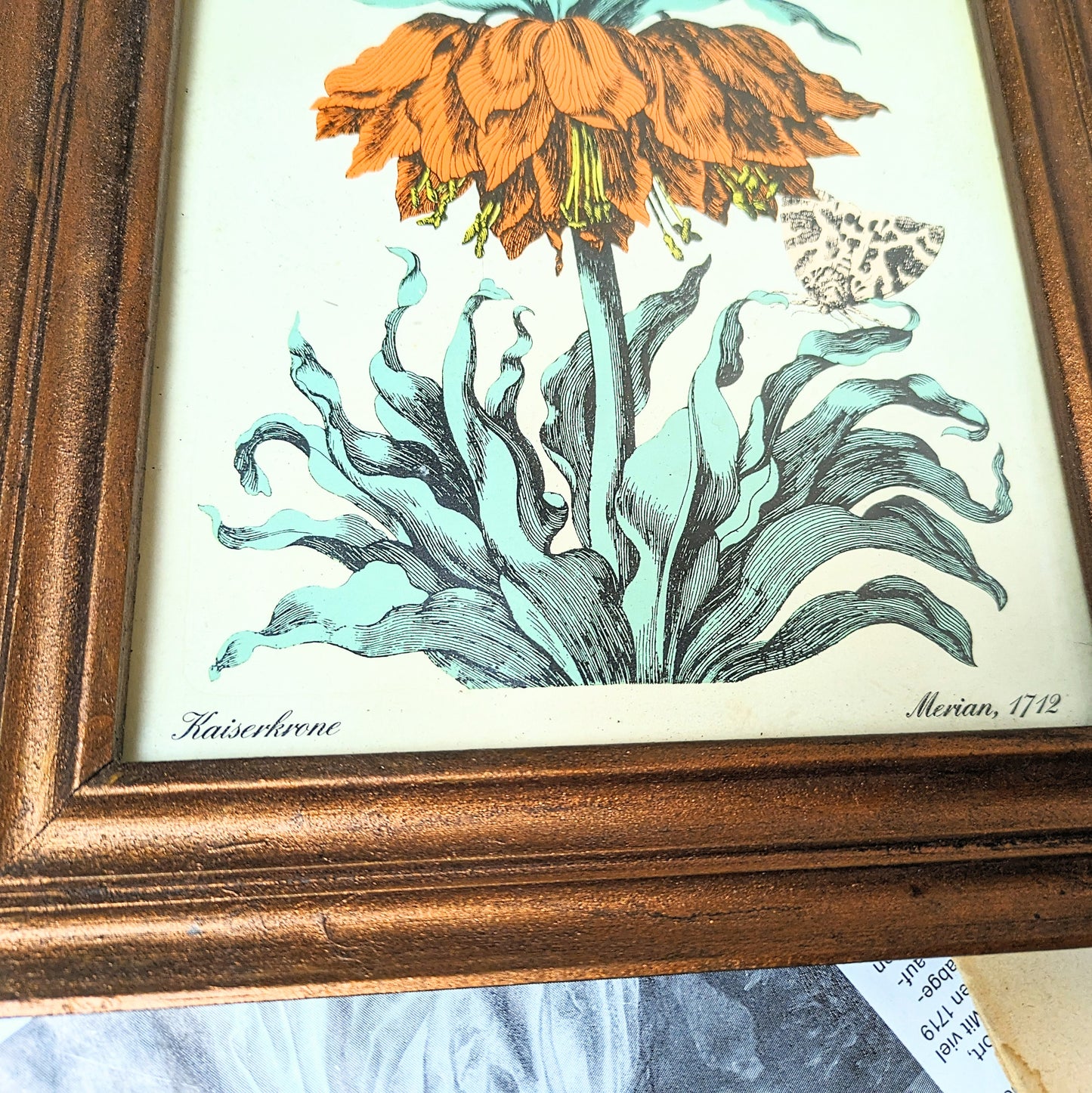 Set of Botanical Prints, 20 x 25