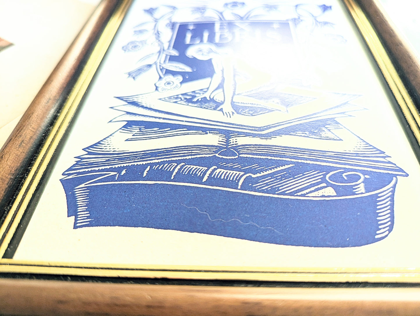 Tirage Ex Libris bibliophile encadré en bleu