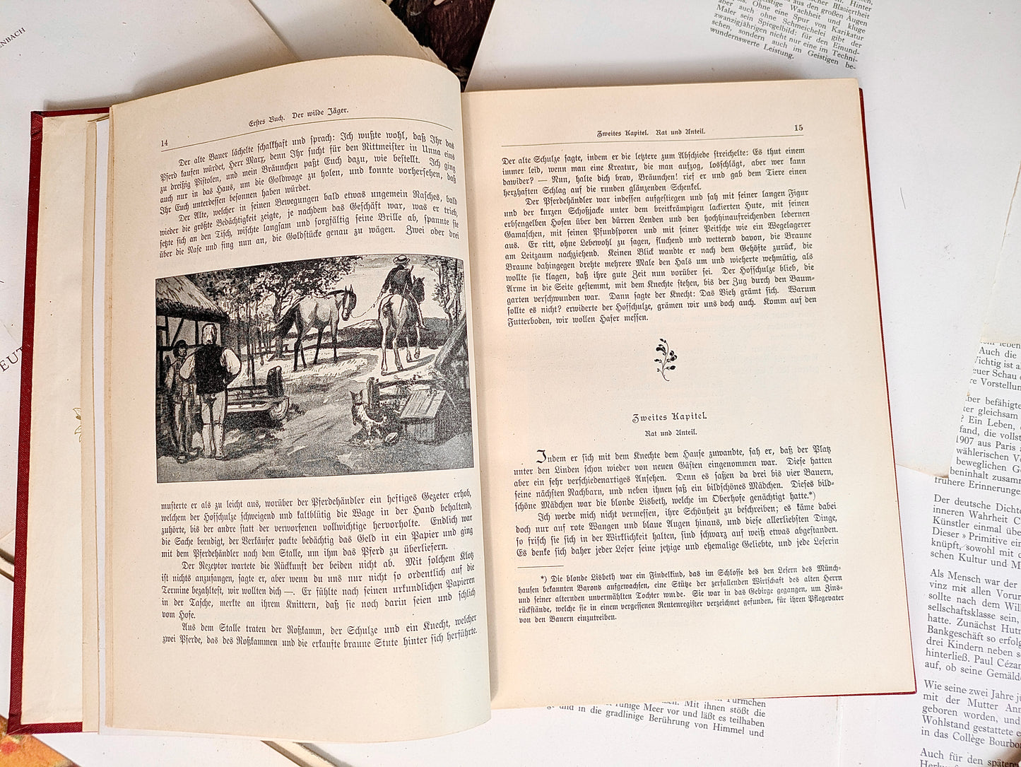 Livre « Immermann - Der Oberhof » en rouge