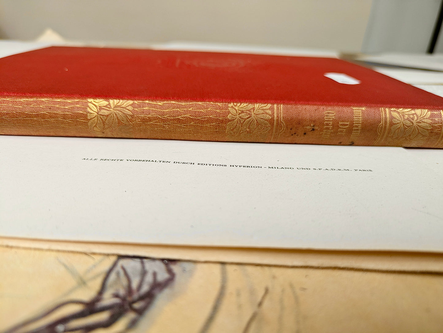 Livre « Immermann - Der Oberhof » en rouge