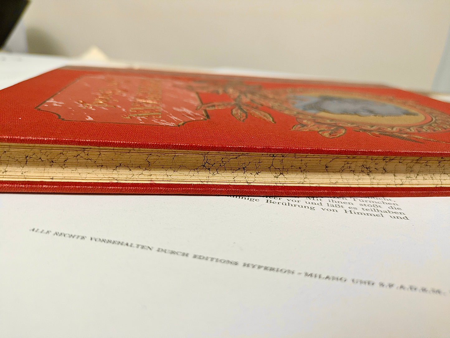 Livre « Immermann - Der Oberhof » en rouge