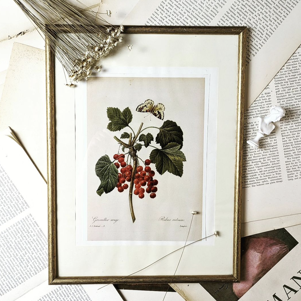 Botanischer Druck