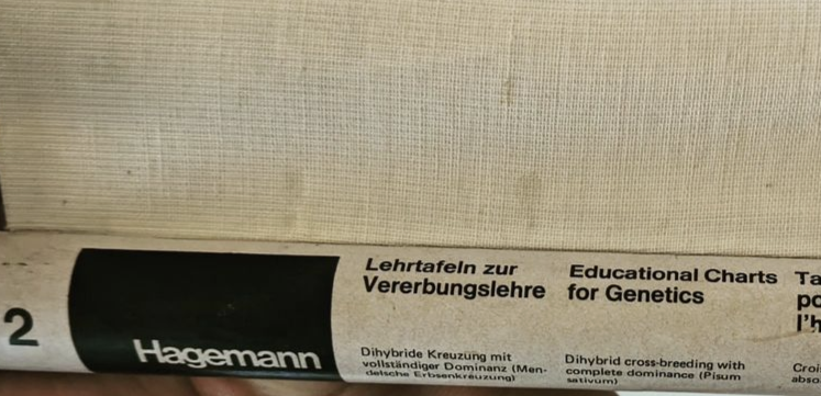 School card on heredity
