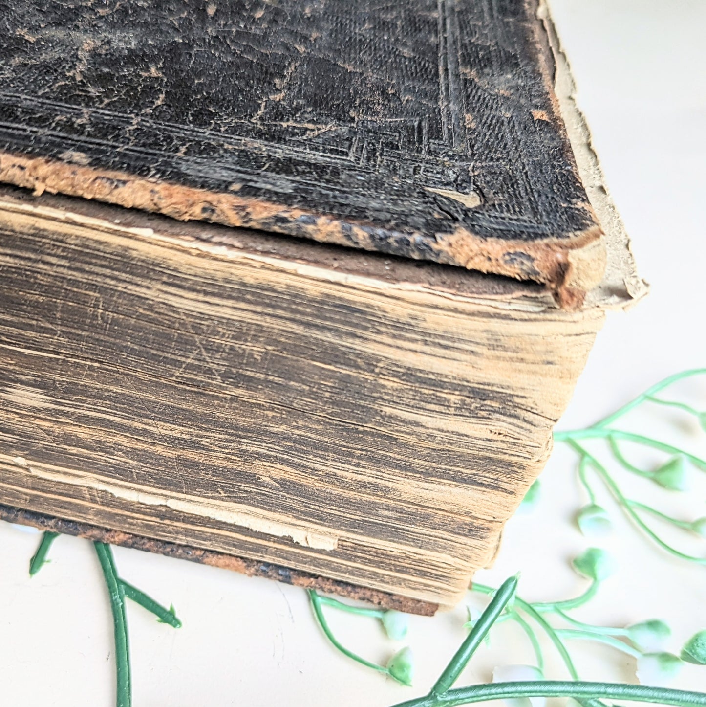 Bibel mit Familienchronik von 1889