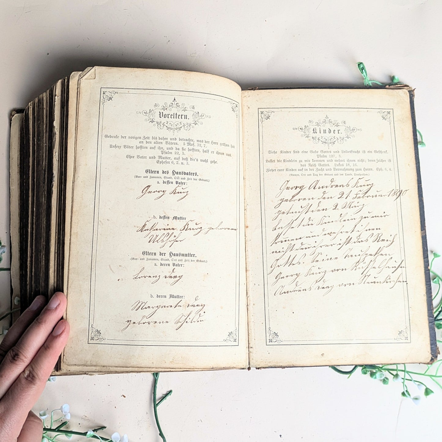 Bibel mit Familienchronik von 1889