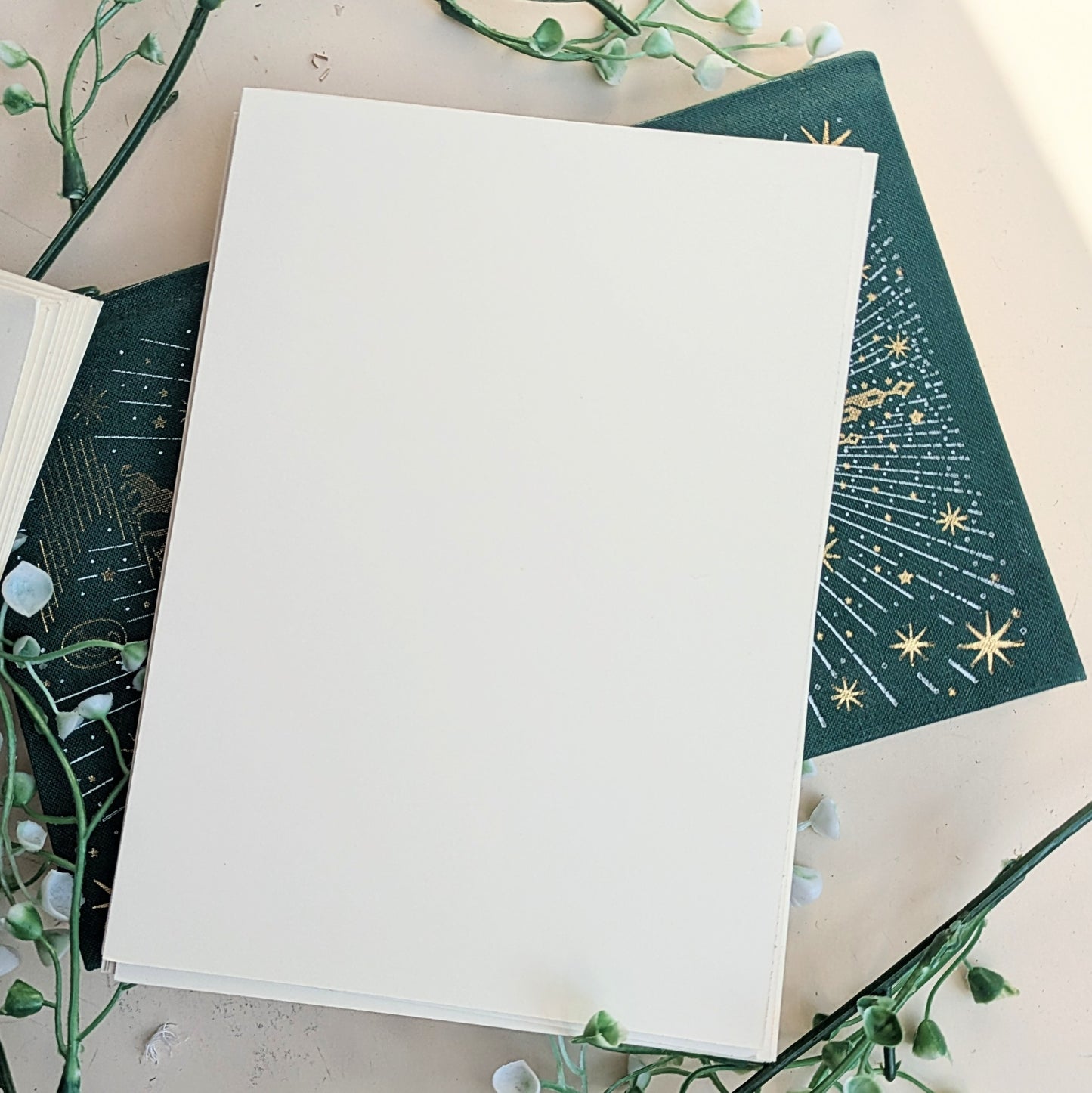 Note cards “Manege” with envelopes