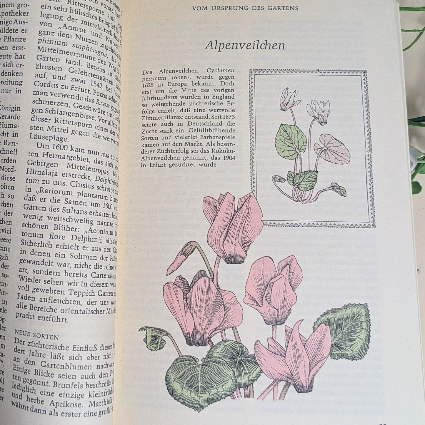 Reader's Digest Gartenbuch Trilogie