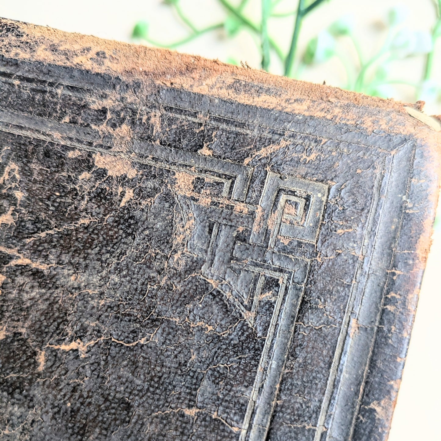 Bibel mit Familienchronik von 1889