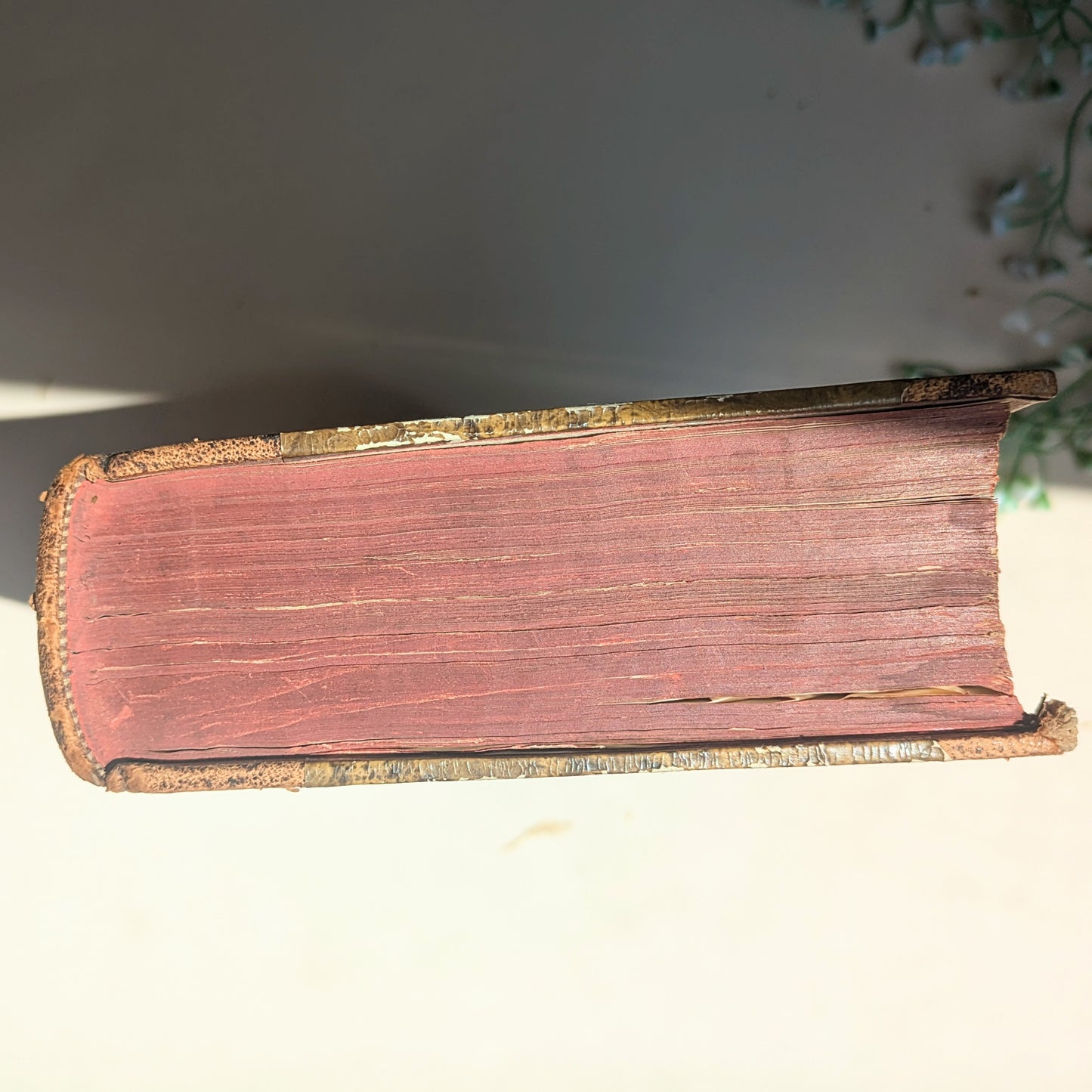 Série de livres « Histoire du monde de Schlosser » Antique