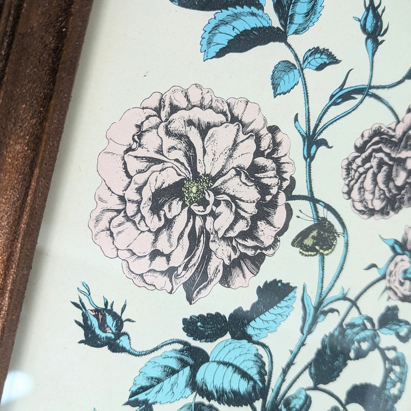 Set of Botanical Prints, 20 x 25
