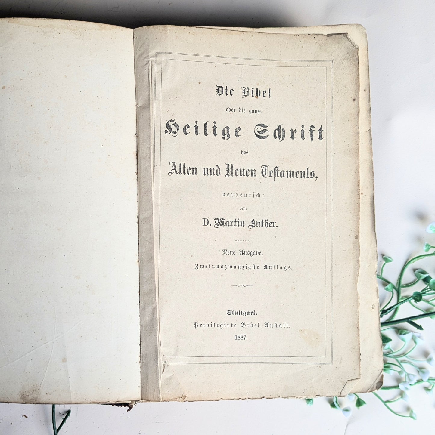 Bibel mit Familienchronik von 1889