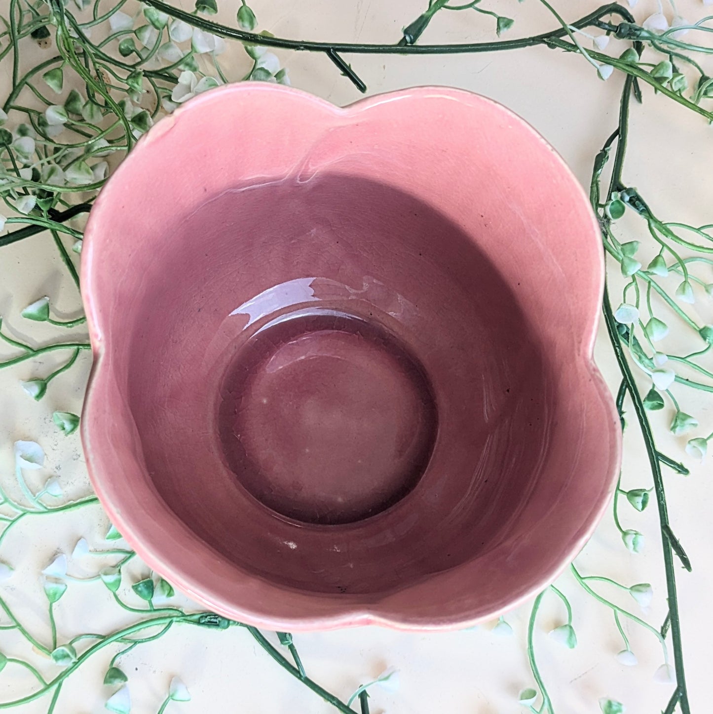 flowerpot tulip