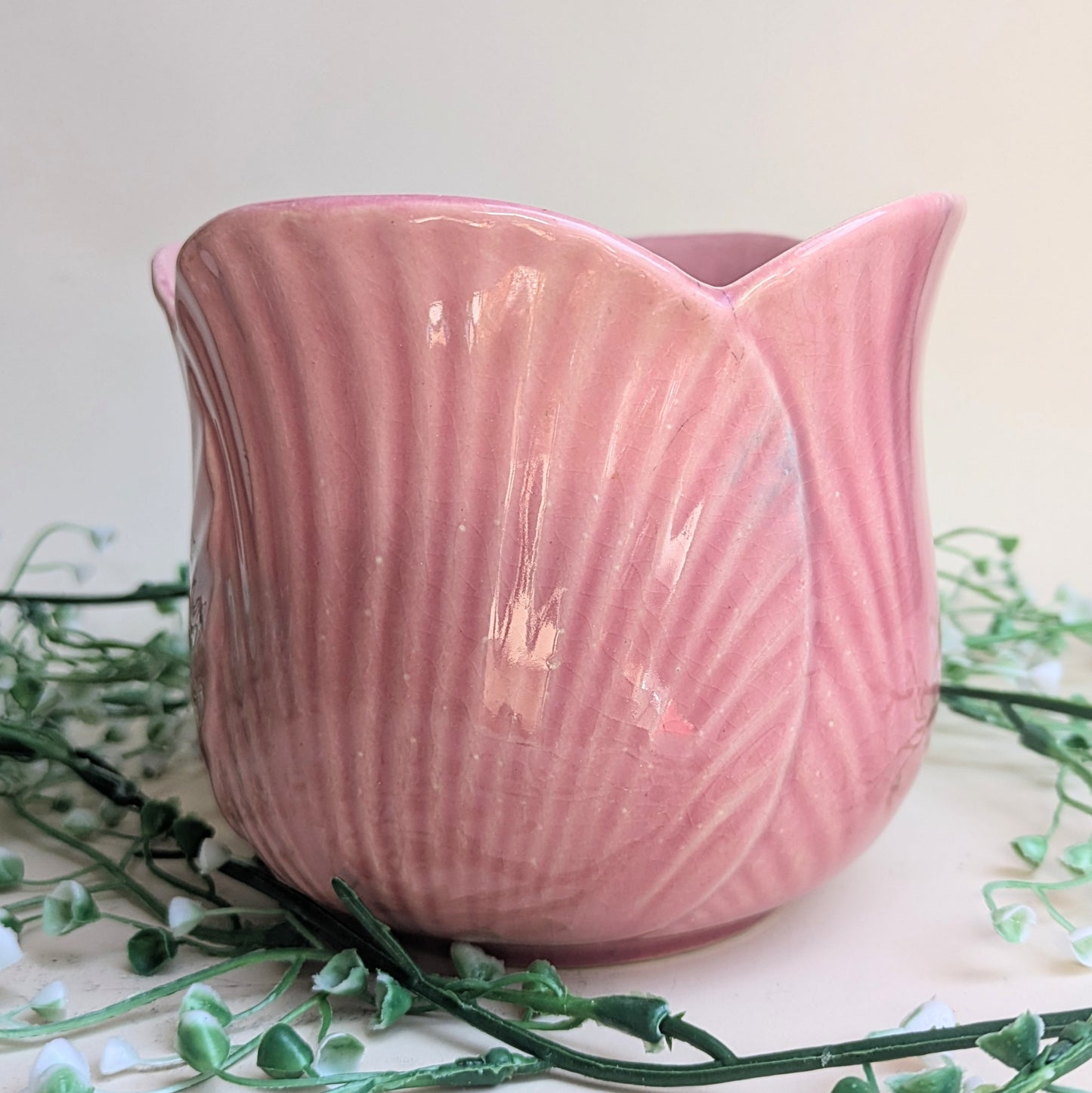 flowerpot tulip