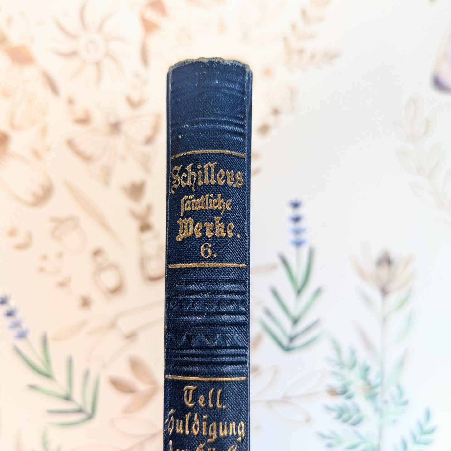 Schillers Werke „Cottasche Bibliothek der Weltliteratur“ Band 6