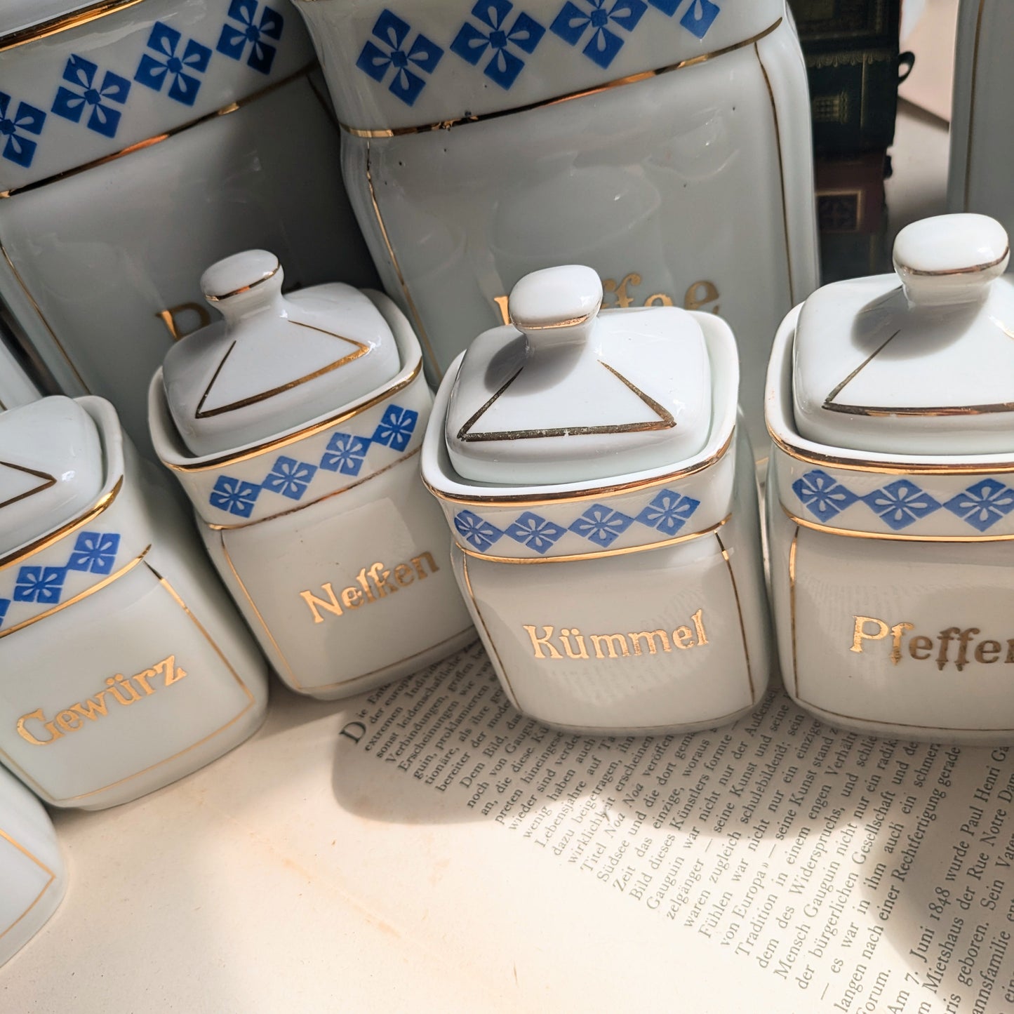 Pots de rangement en porcelaine bleu et blanc