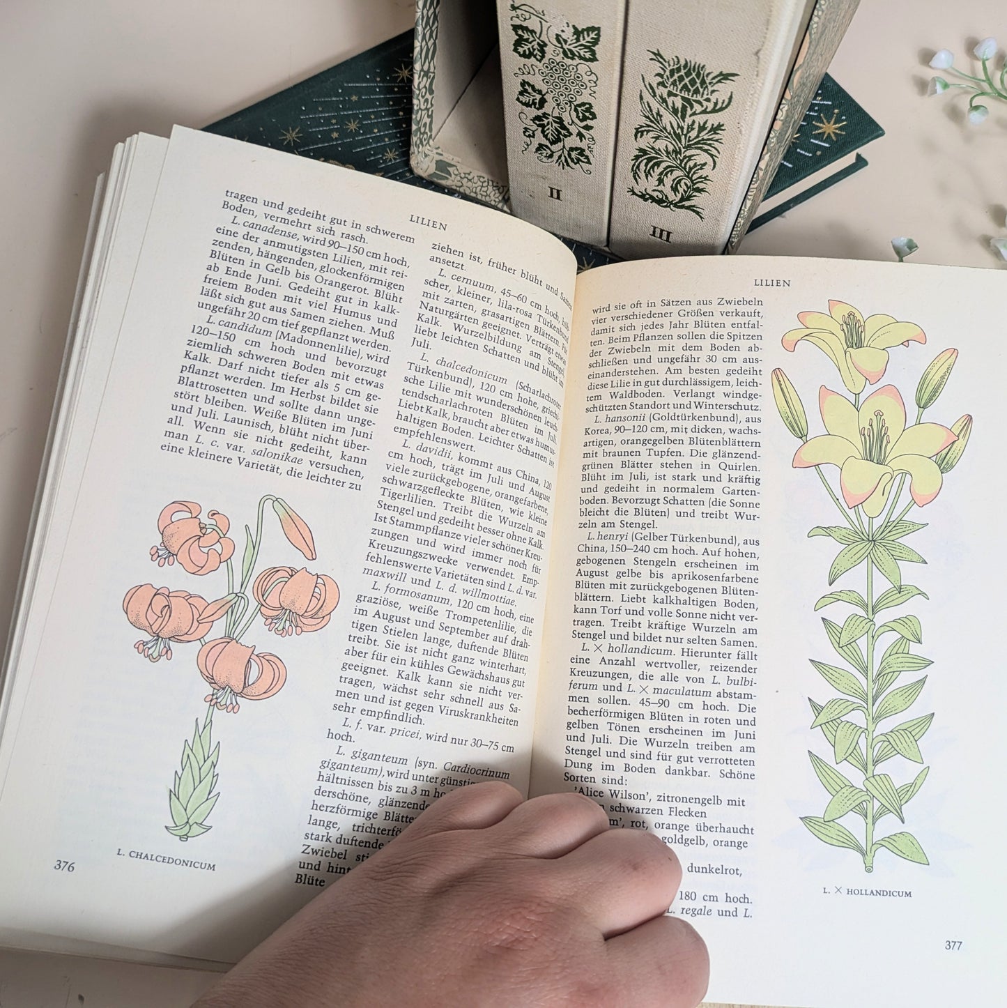 Reader's Digest Gartenbuch Trilogie