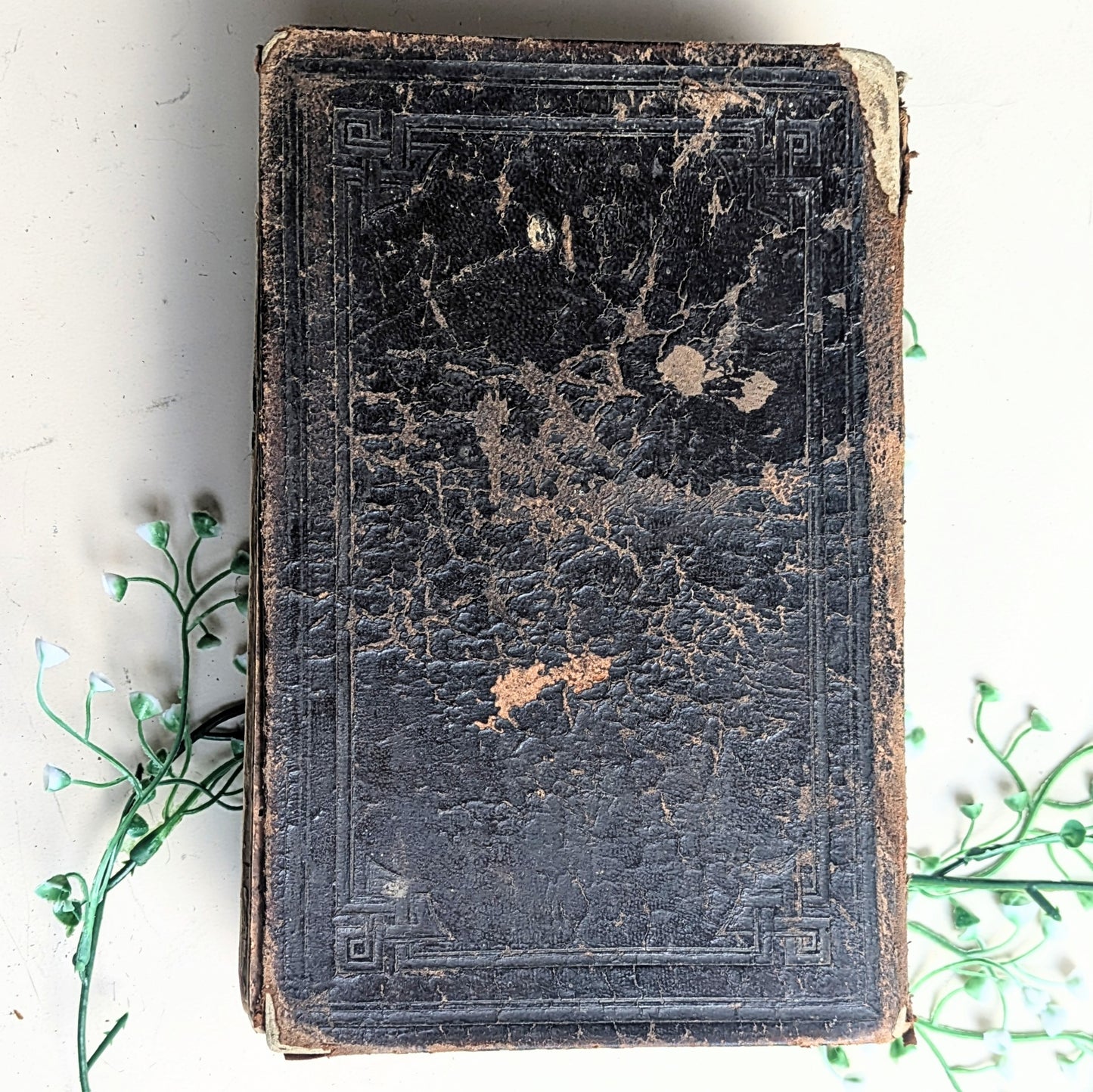 Bibel mit Familienchronik von 1889