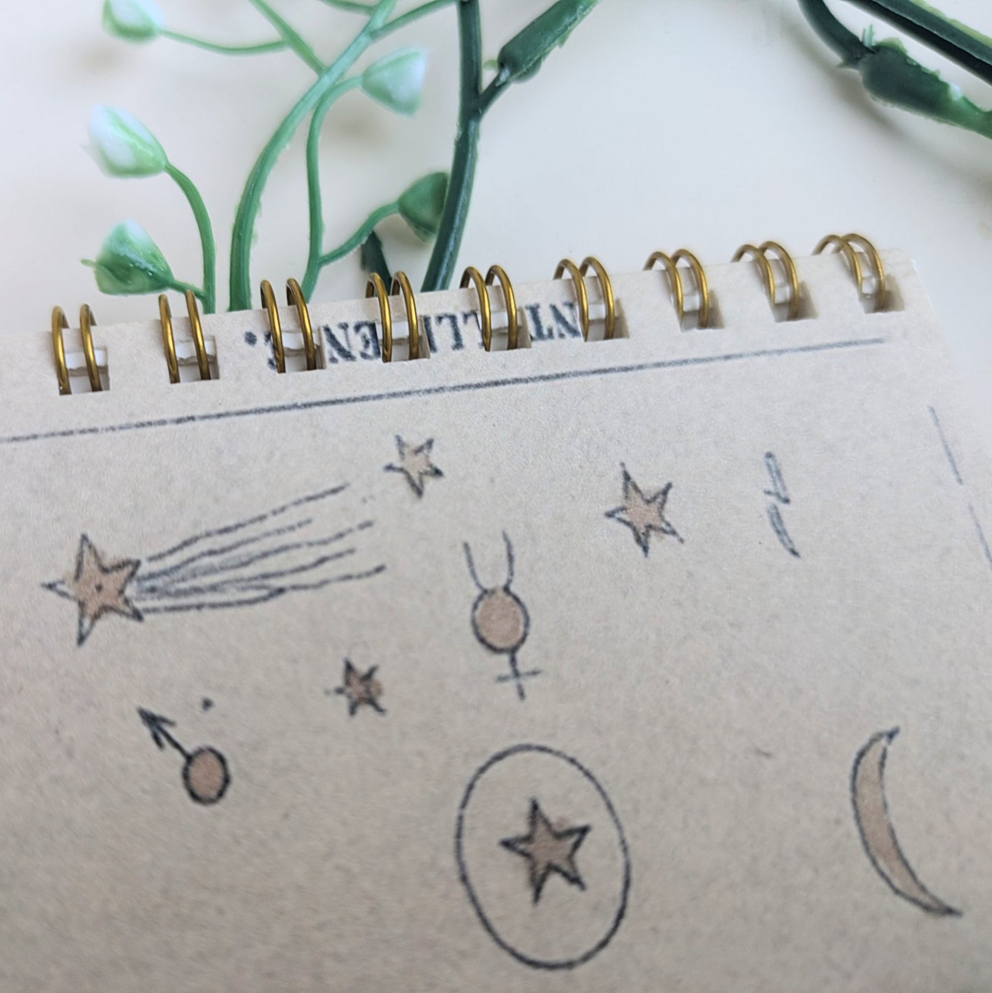 Notepad “Les étoiles”