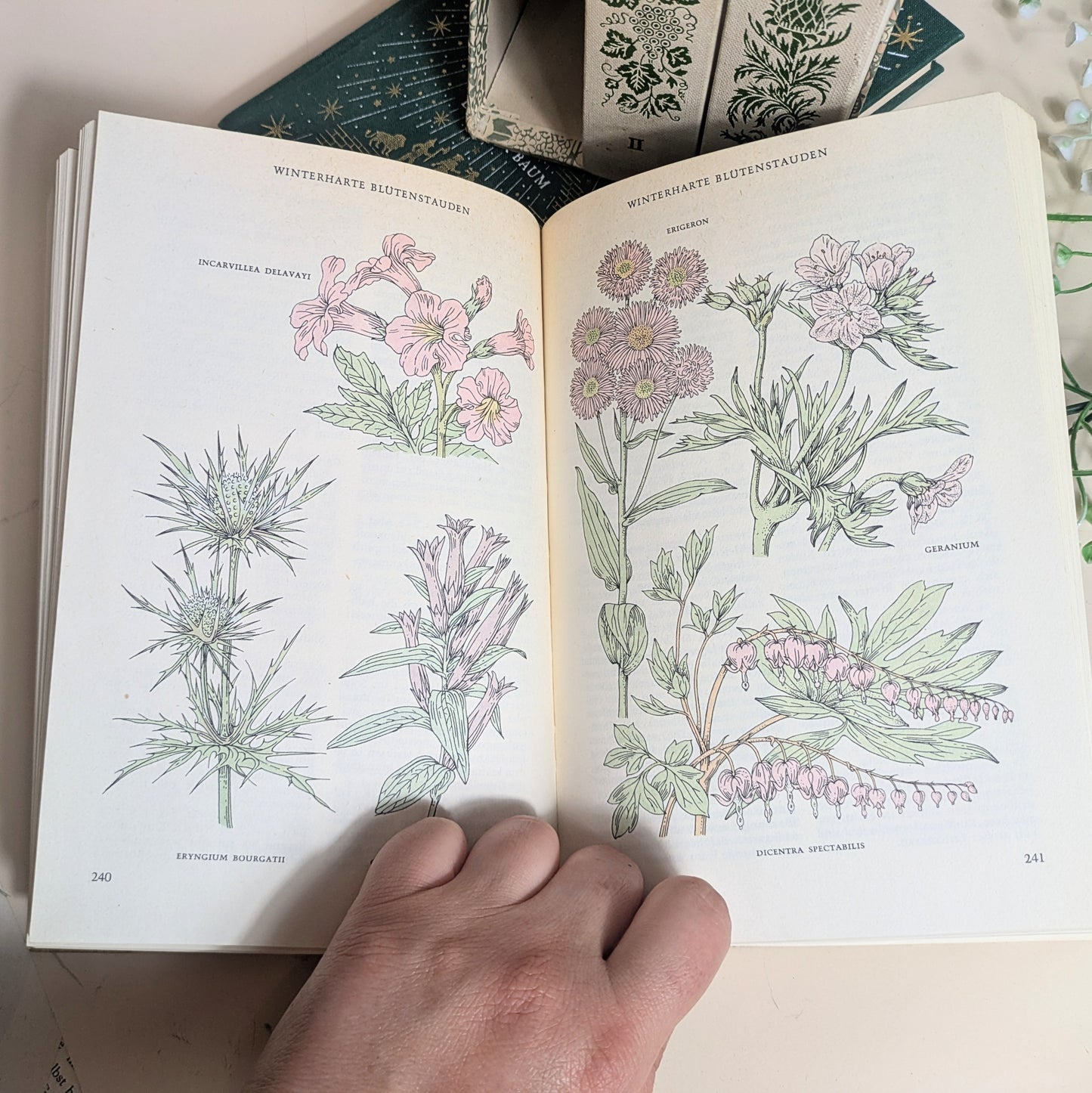 Reader's Digest Gartenbuch Trilogie