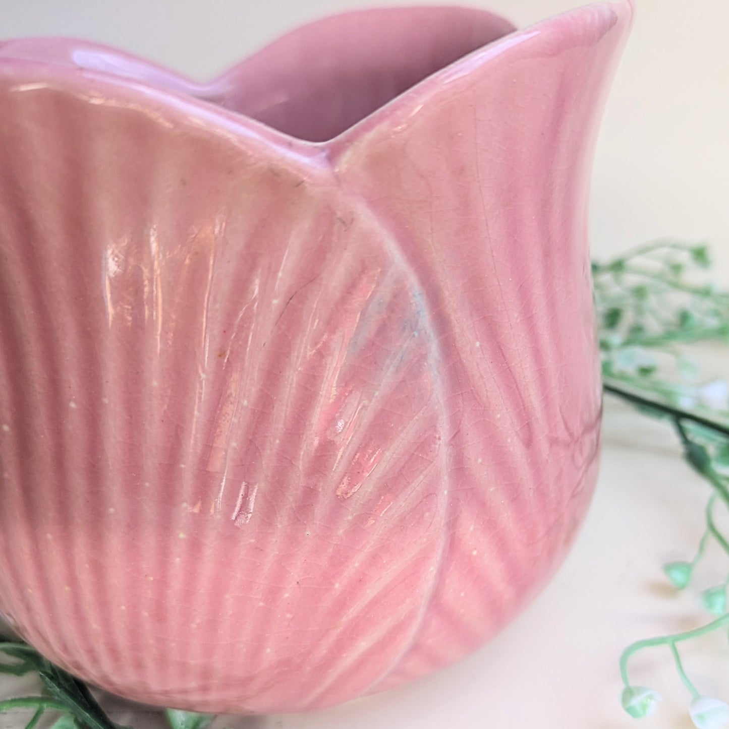 flowerpot tulip
