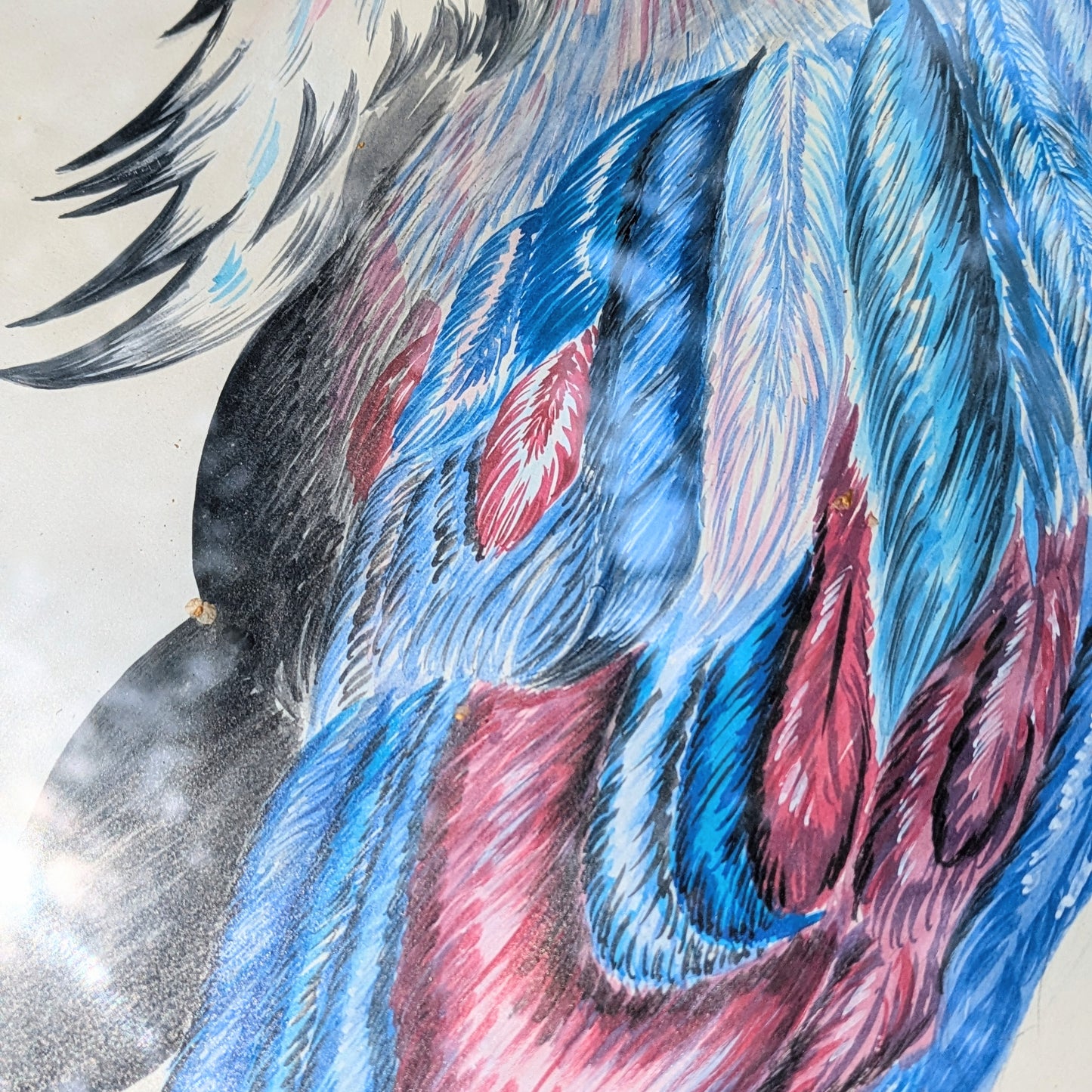 Set of crane illustrations hand-painted