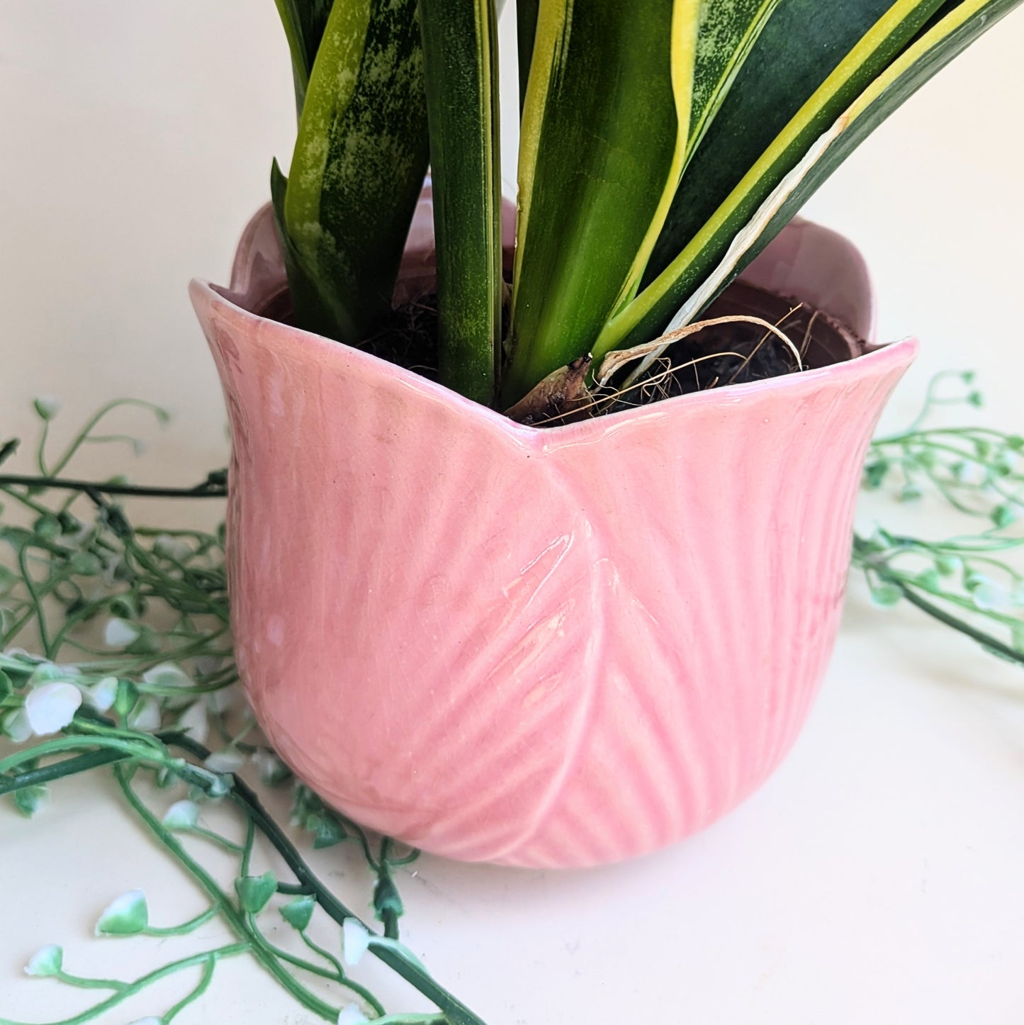 flowerpot tulip