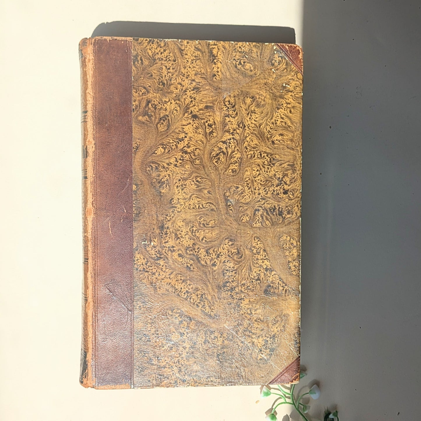 Série de livres « Histoire du monde de Schlosser » Antique