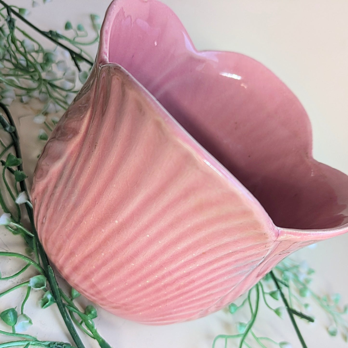 flowerpot tulip