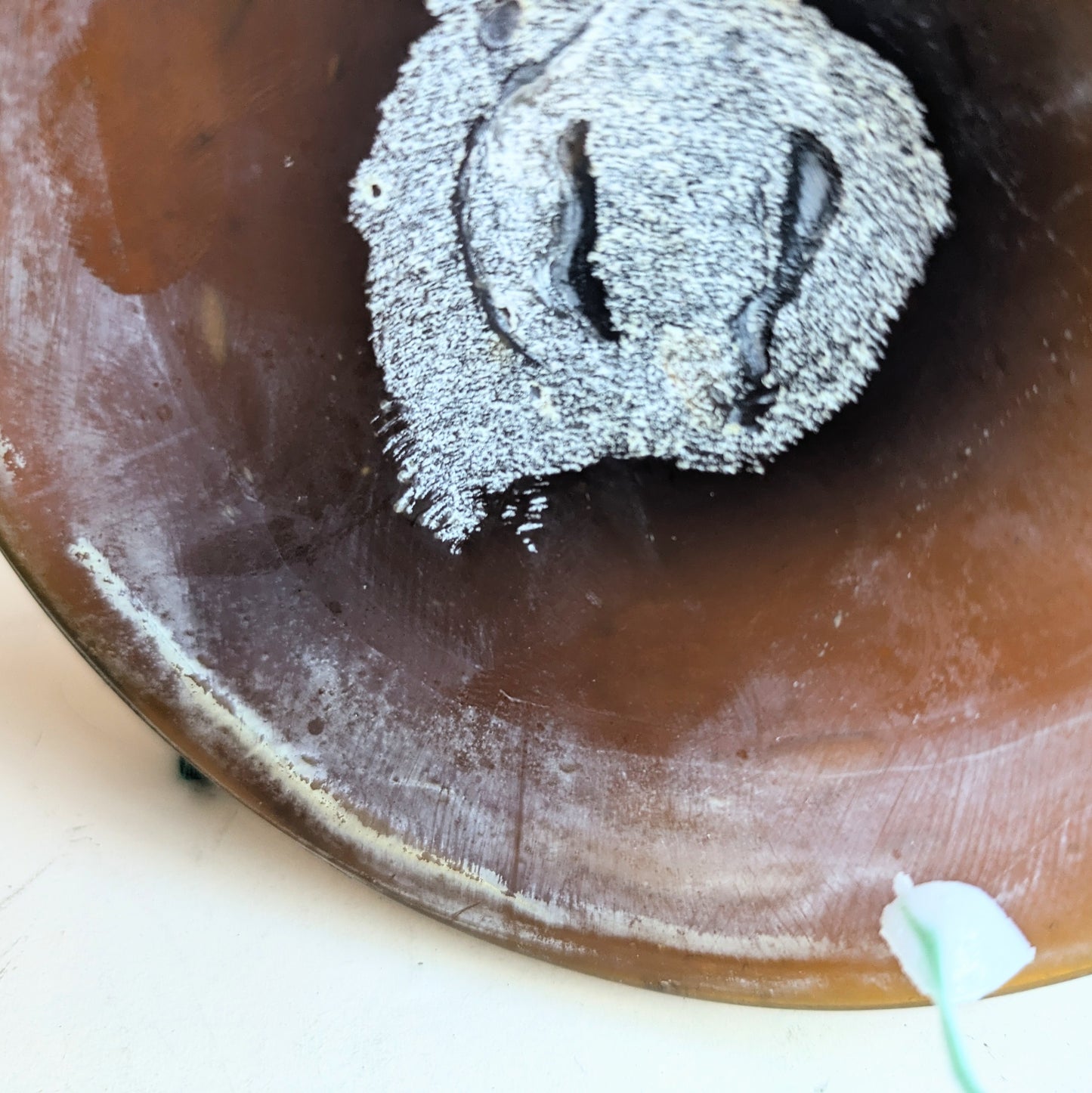 Murano Donut Vase