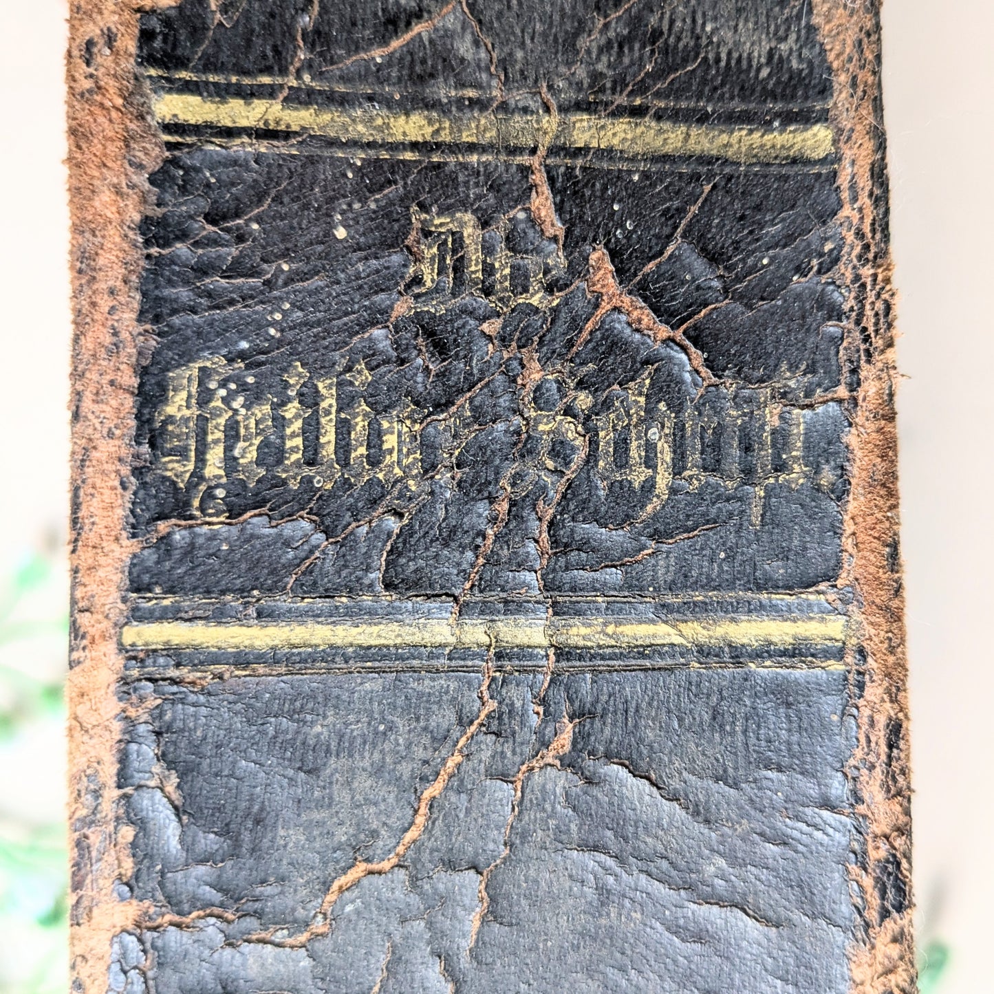 Bibel mit Familienchronik von 1889
