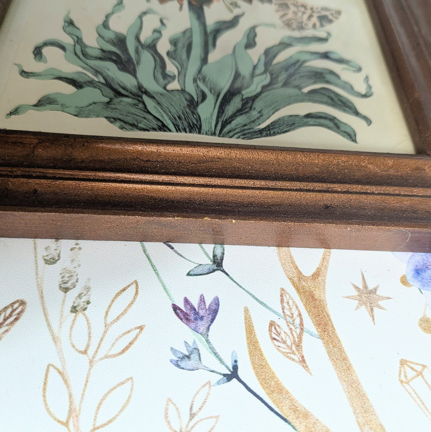 Set of Botanical Prints, 20 x 25