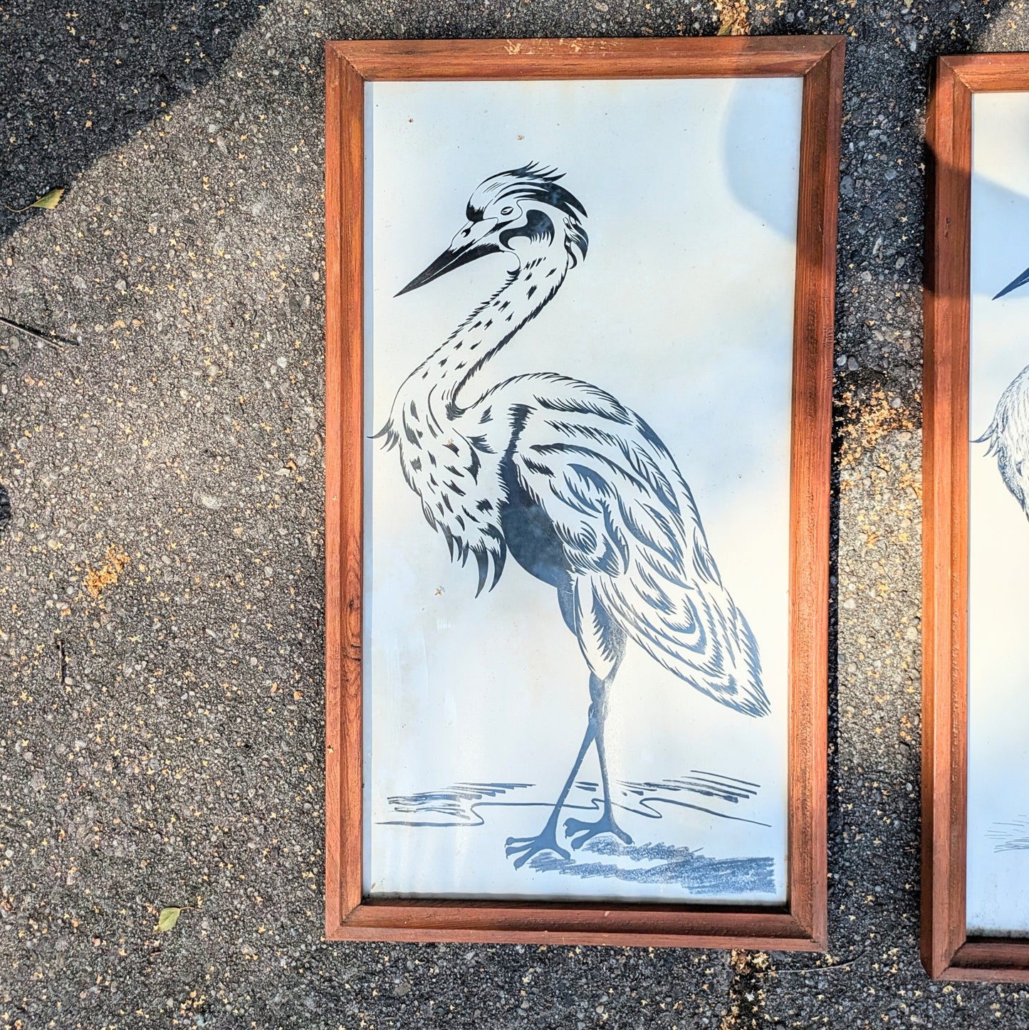 Set of crane illustrations hand-painted