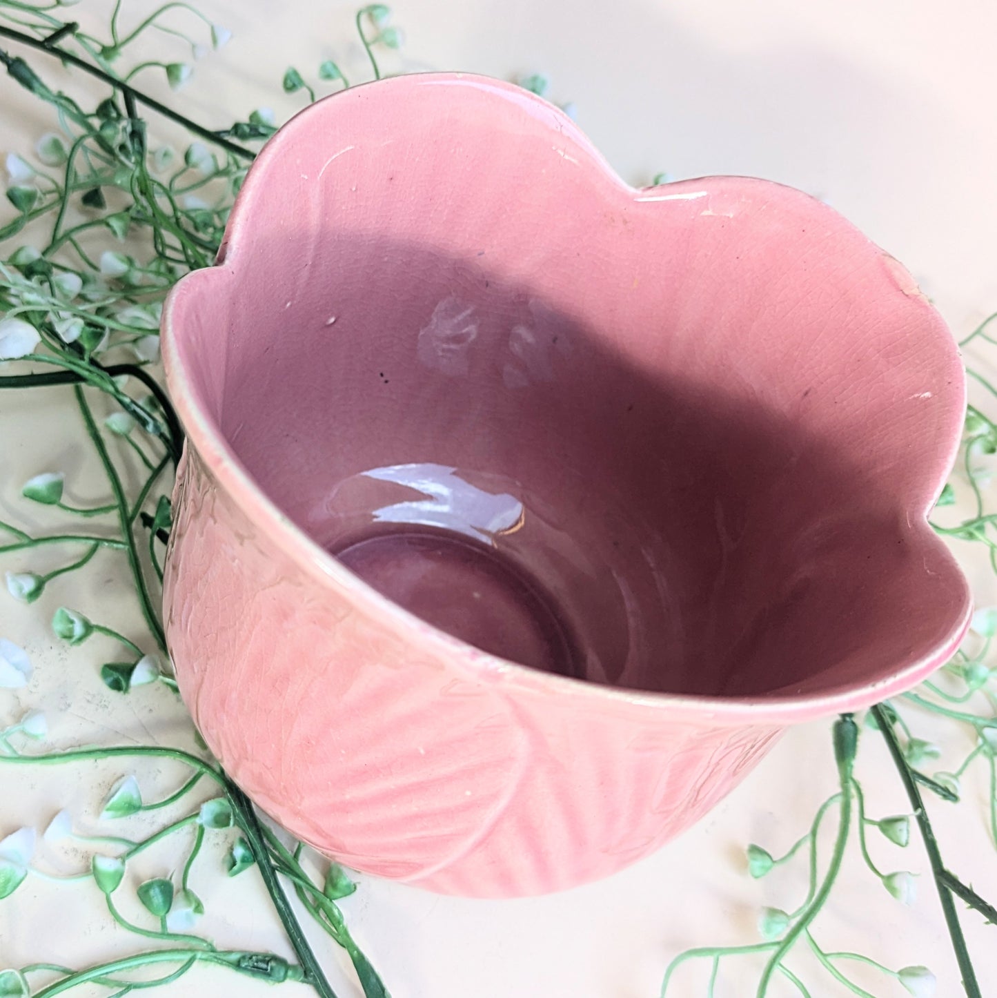 flowerpot tulip