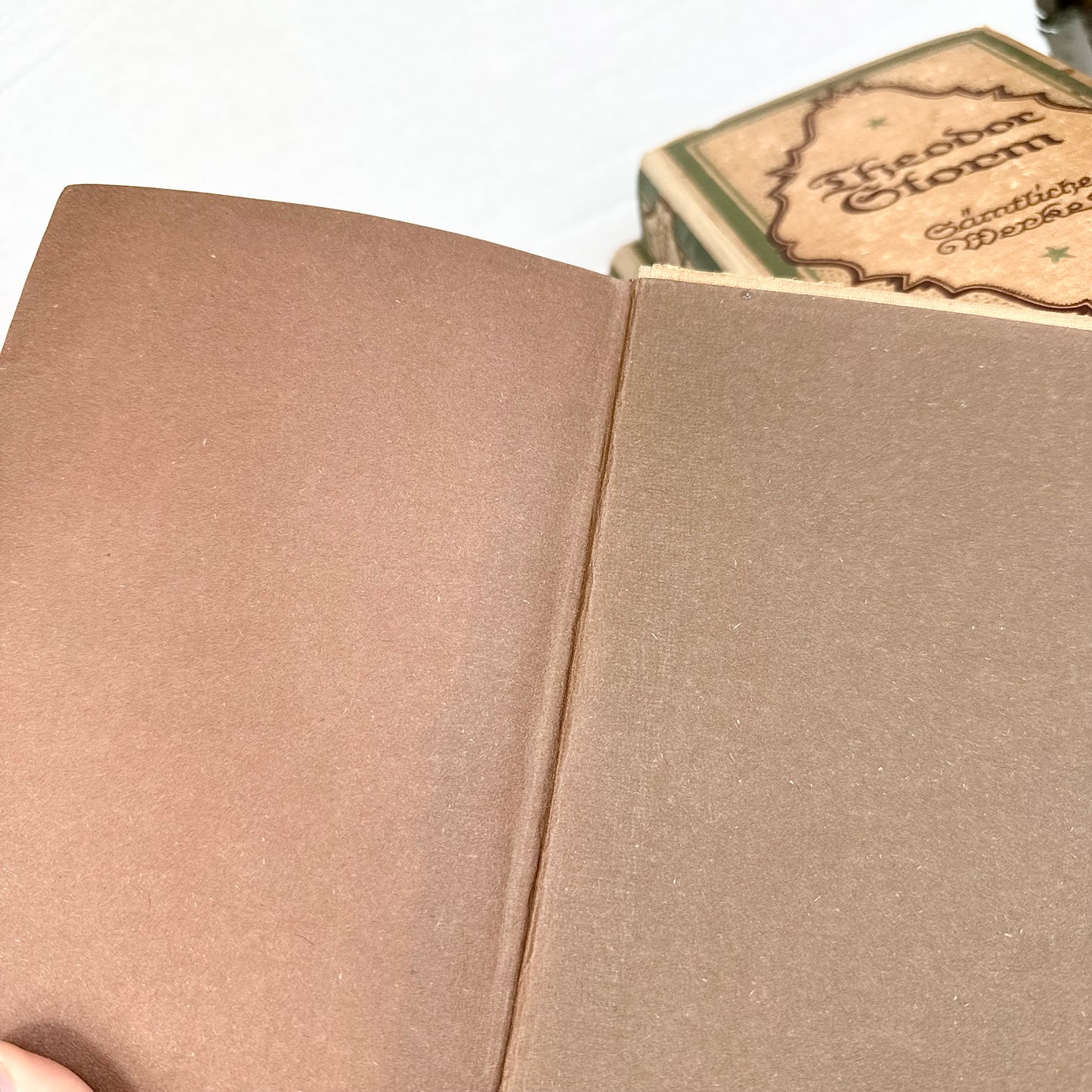Antike Theodor Storm Bücher
