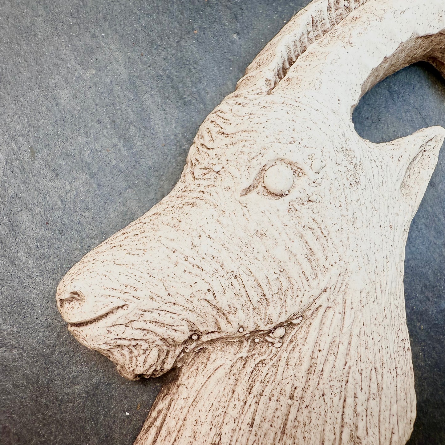 Steinbock auf Schieferplatte