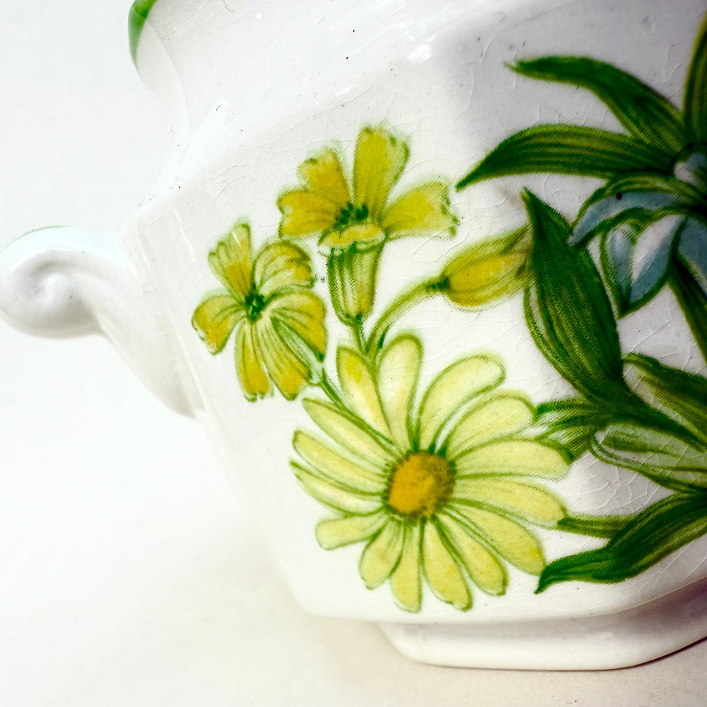 Englische Zuckerdose Kensington Staffordshire