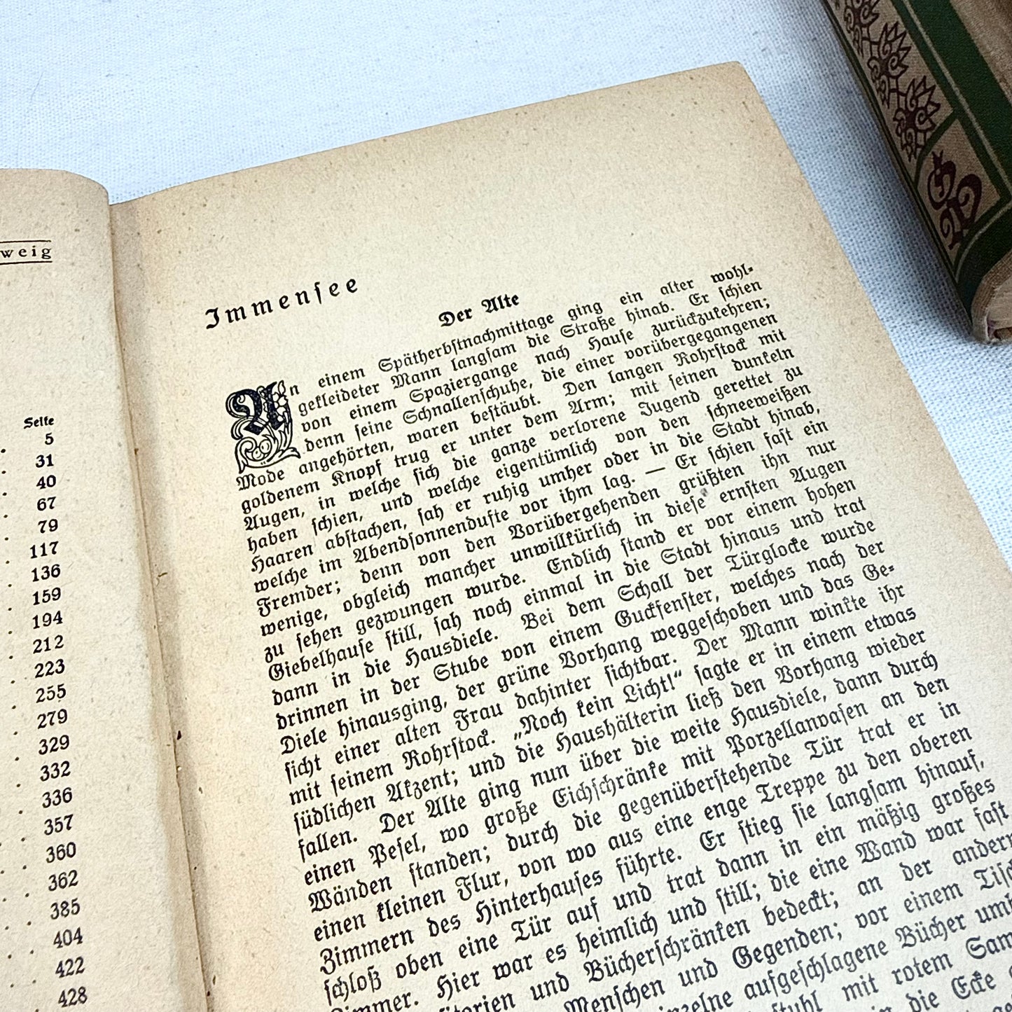 Antike Theodor Storm Bücher