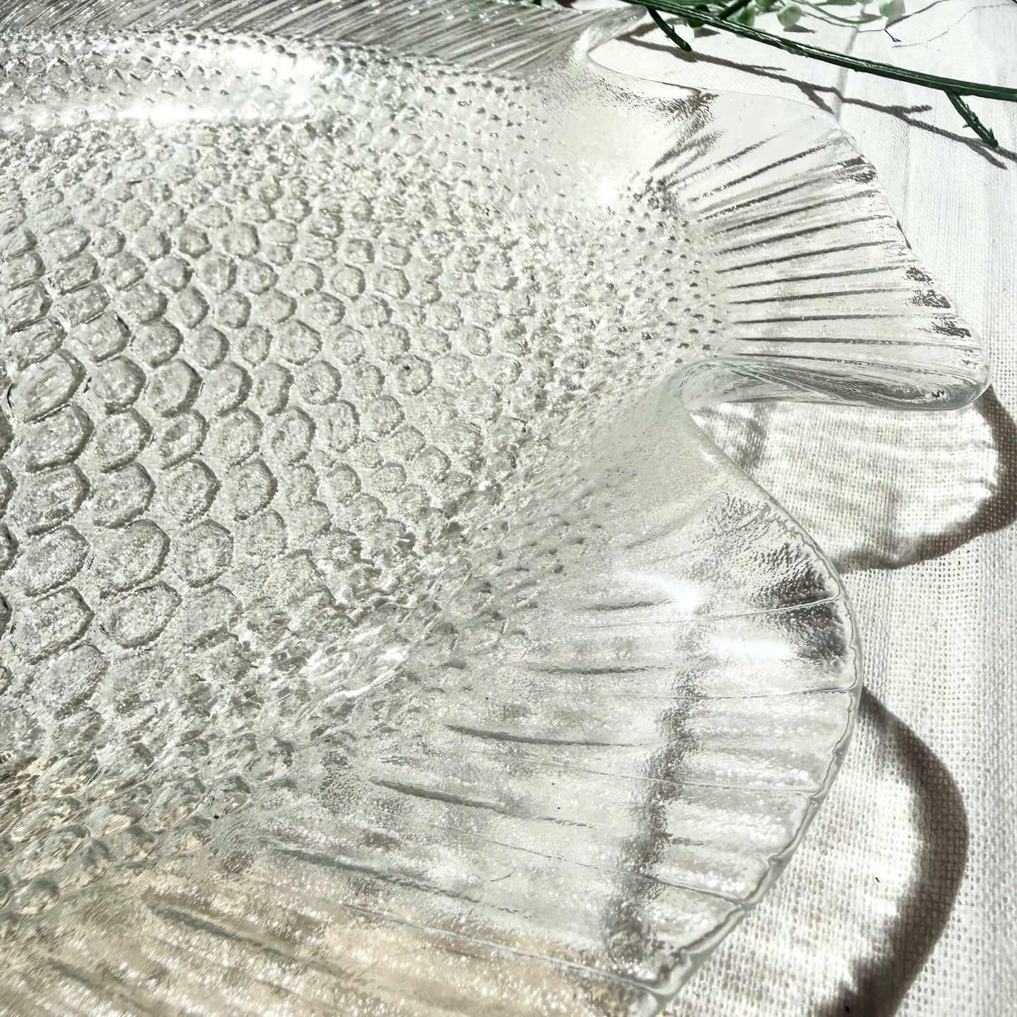 Fisch Schale