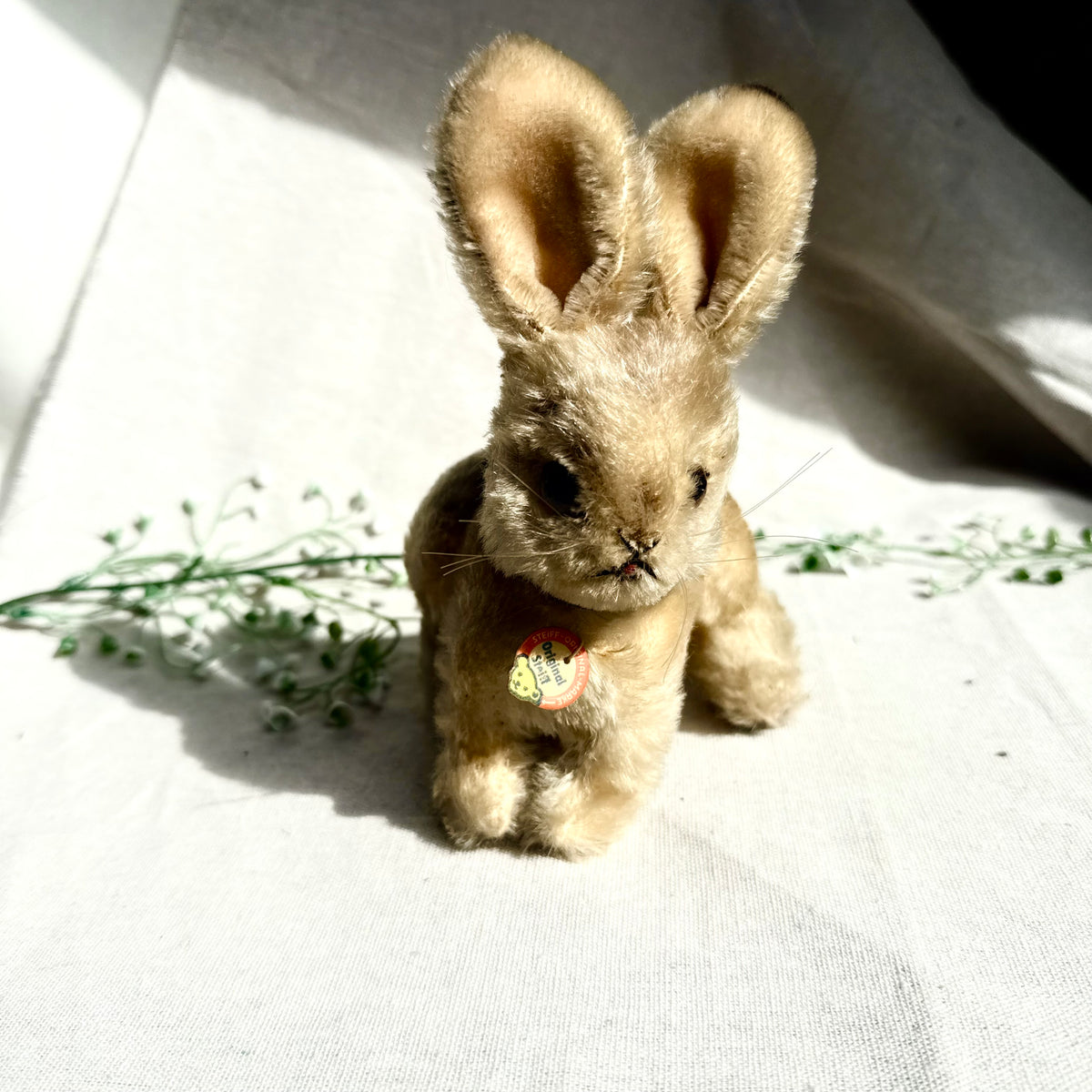 Steiff Hase