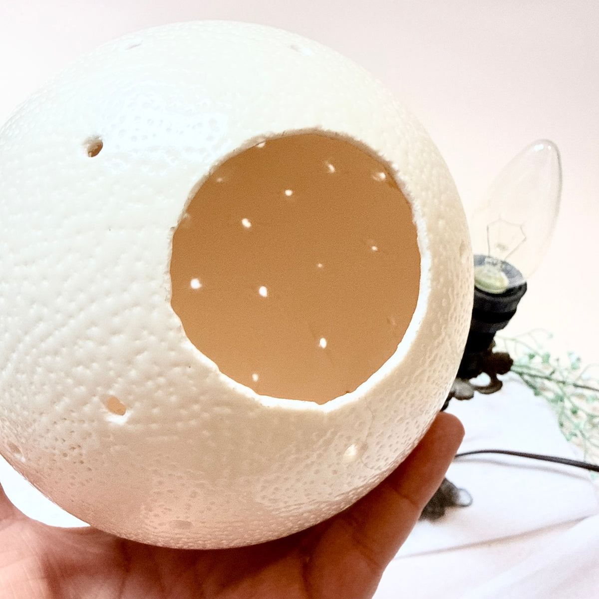 Straußenei Lampe