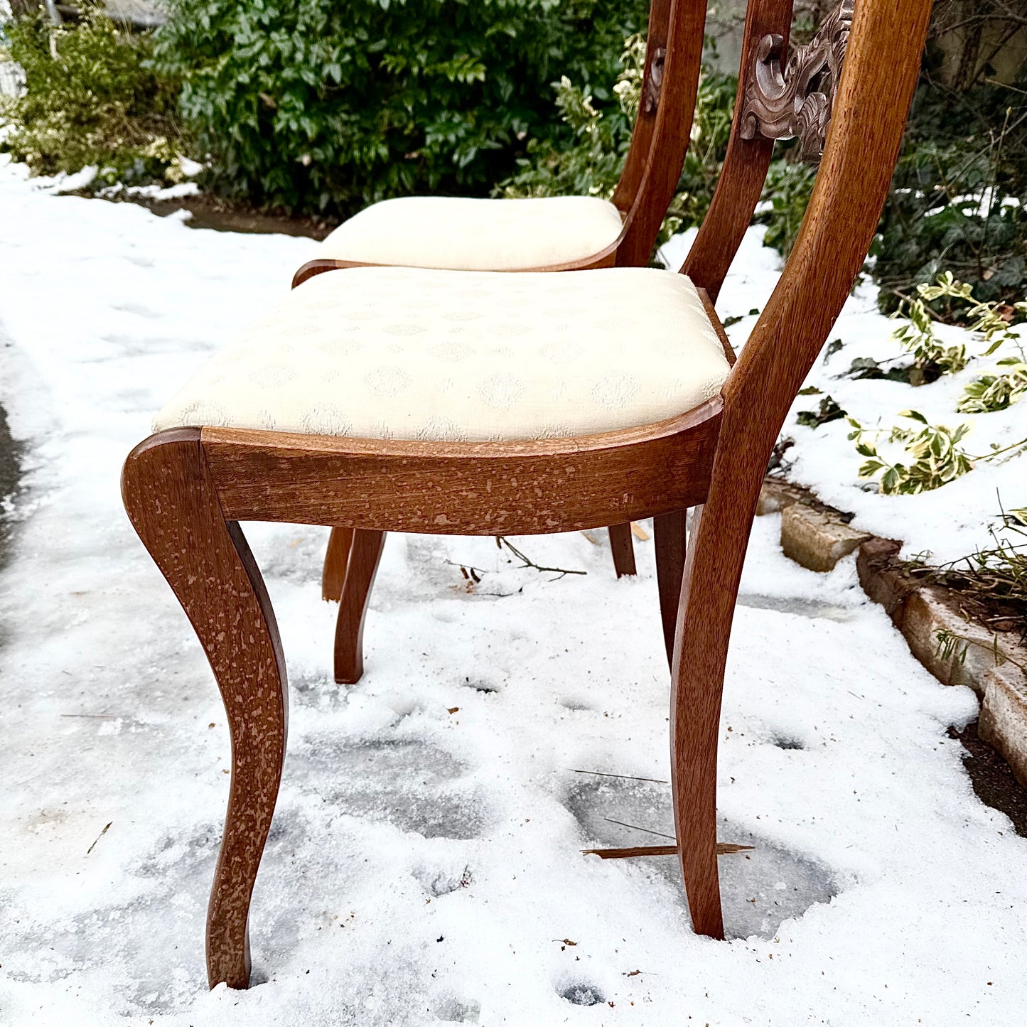 Biedermeier Stühle